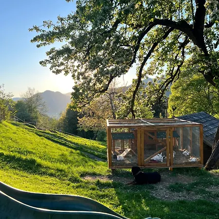 Vom Reiter, Am Bauernhof Mit Bergblick Und Privater Infrarotkabine, Inklusive Sommercard Schladming