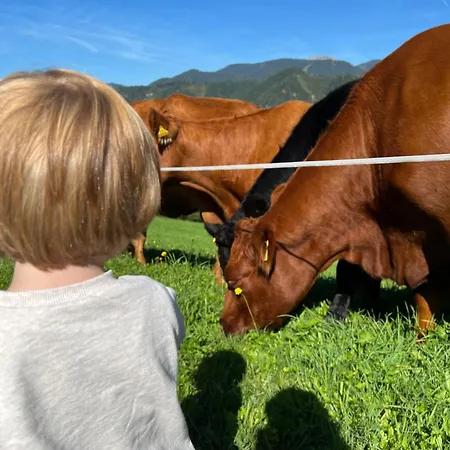 Vom Reiter, Am Bauernhof Mit Bergblick Und Privater Infrarotkabine, Nahe Skipiste * Шладминг