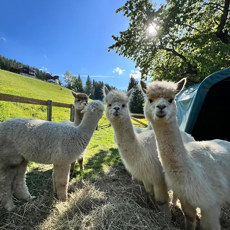Vom Reiter, Am Bauernhof Mit Bergblick Und Privater Infrarotkabine, Inklusive Sommercard Lejlighed