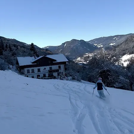 Daire Vom Reiter, Am Bauernhof Mit Bergblick Und Privater Infrarotkabine, Inkl Sommercard Und Spielplatz Schladming