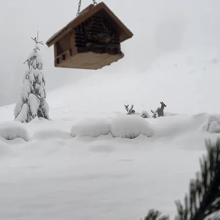 Vom Reiter, Am Bauernhof Mit Bergblick Und Privater Infrarotkabine, Nahe Skipiste Schladming