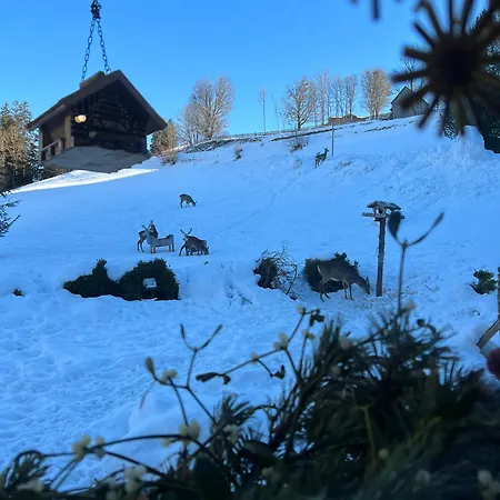 Vom Reiter, Am Bauernhof Mit Bergblick Und Privater Infrarotkabine, Inkl Sommercard Und Spielplatz דירה שלאדמינג