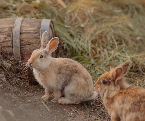 Apartman Vom Reiter, Am Bauernhof Mit Bergblick Und Privater Infrarotkabine, Nahe Skipiste Schladming