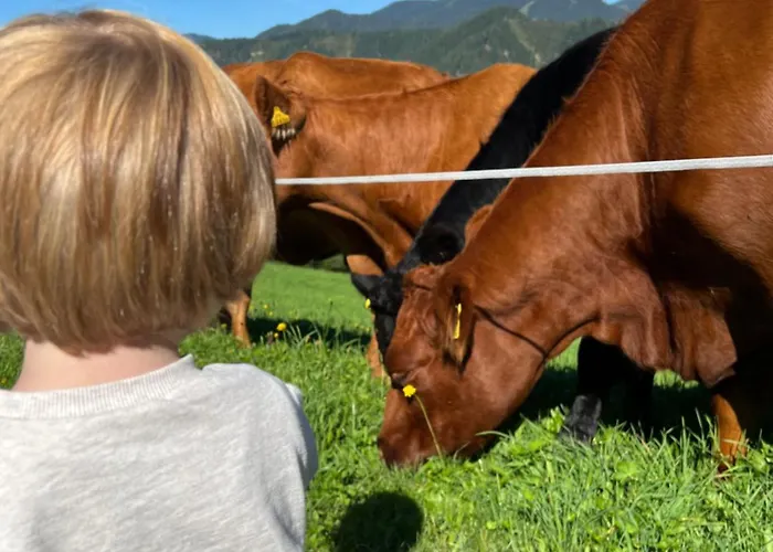 Vom Reiter, Am Bauernhof Mit Bergblick Und Privater Infrarotkabine, Nahe Skipiste * Schladming