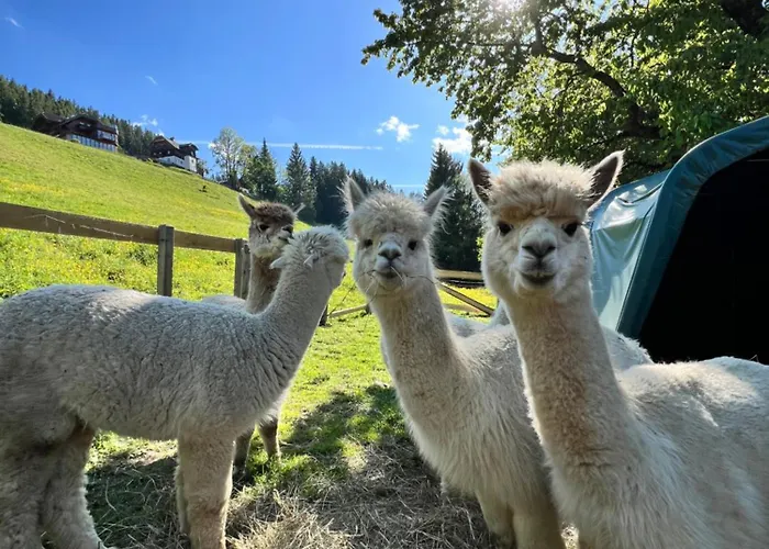 Vom Reiter, Am Bauernhof Mit Bergblick Und Privater Infrarotkabine, Nahe Skipiste Apartment