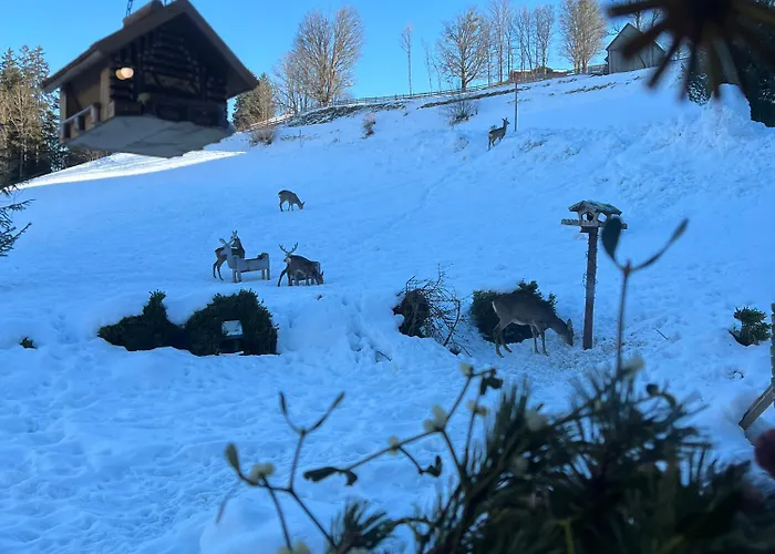 Vom Reiter, Am Bauernhof Mit Bergblick Und Privater Infrarotkabine, Nahe Skipiste Apartment Schladming